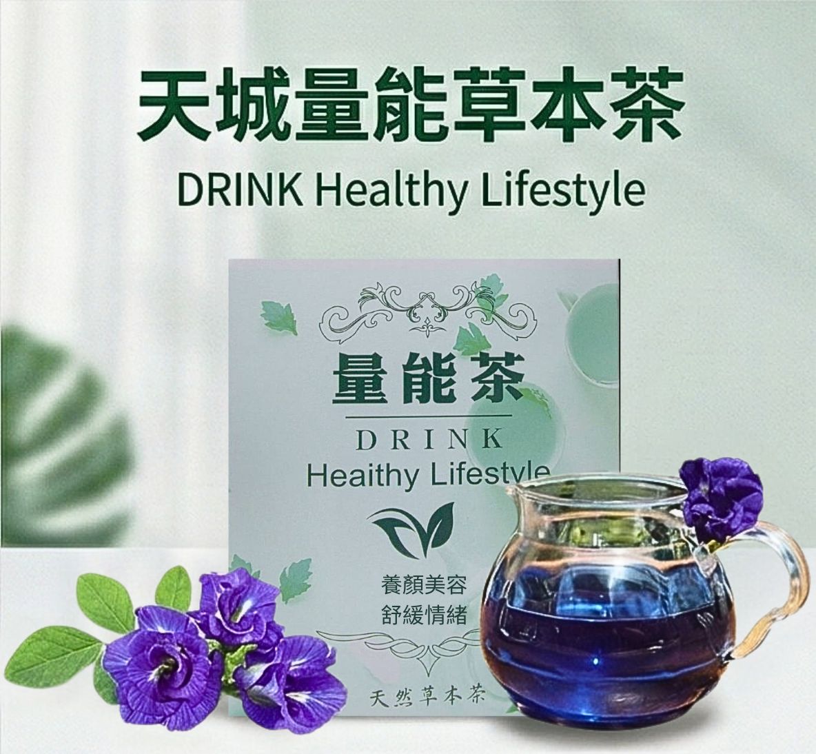 天城量能草本茶--蝶豆花